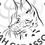 Membres des vendeurs de chats Savannah